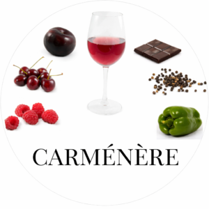 Carménère red wine tasting profile showing glass of red wine with cherries, plum, raspberries, dark chocolate, peppercorns, and green pepper notes