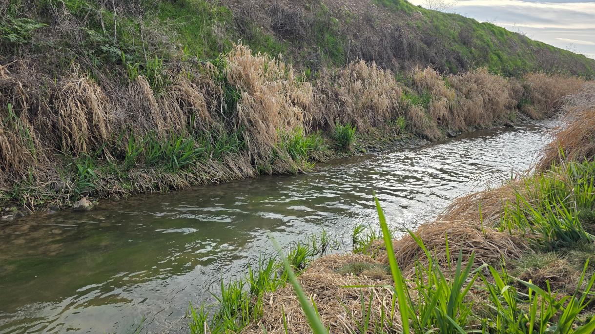 Nampa Idaho irrigation canal water flow 2026 season low snowpack impact