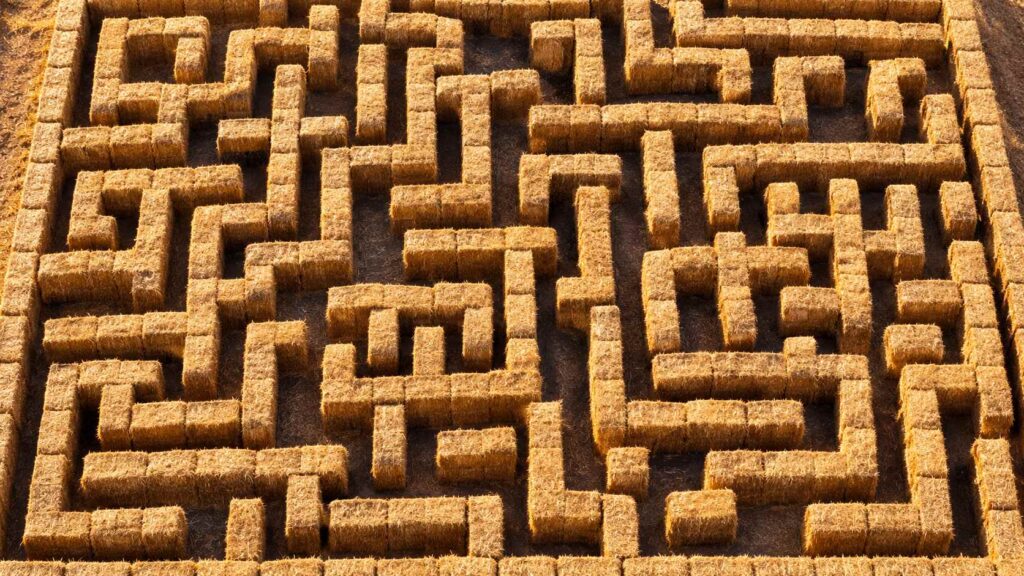 Straw Maze